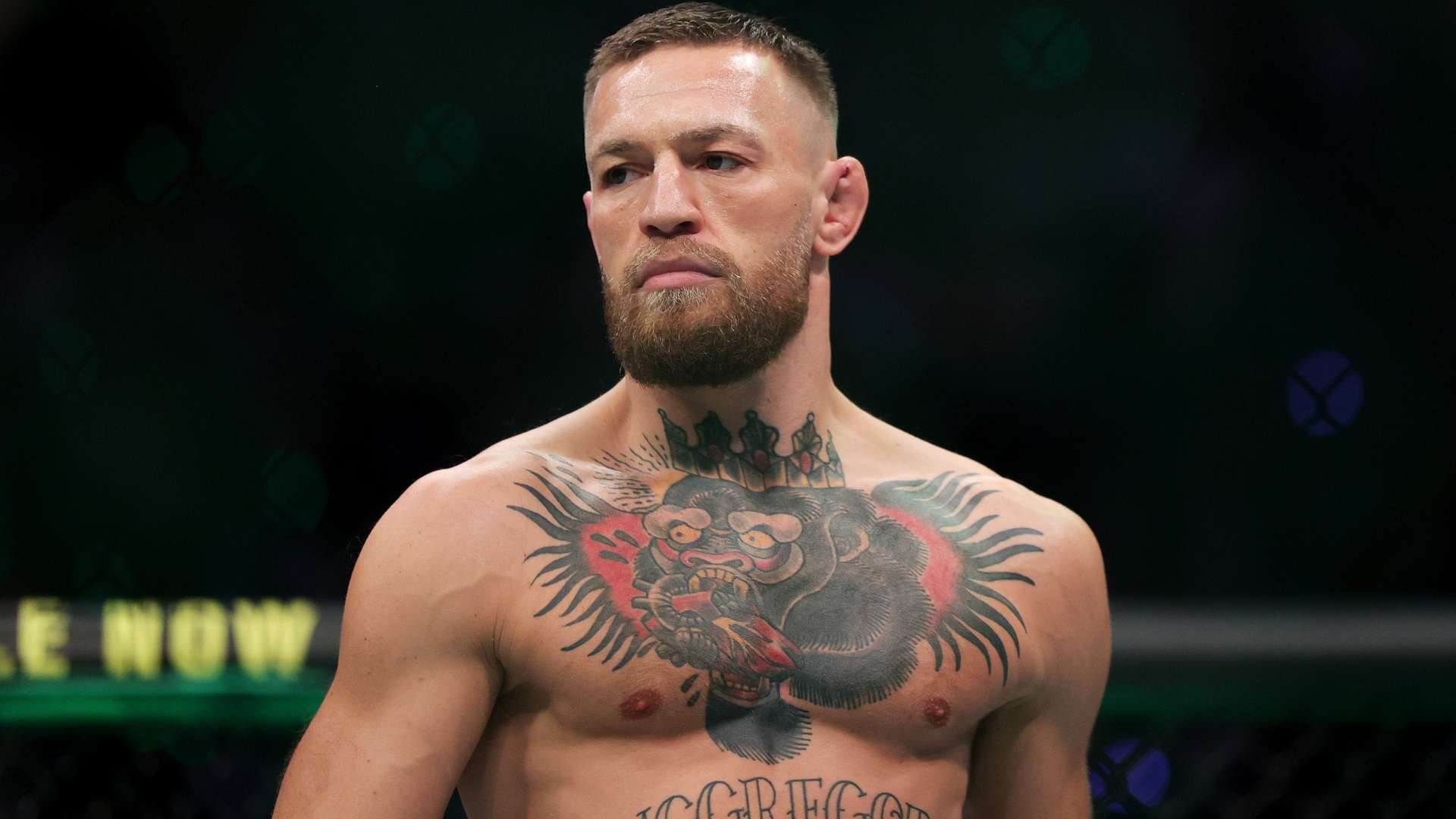 对于不少成 对于不少成